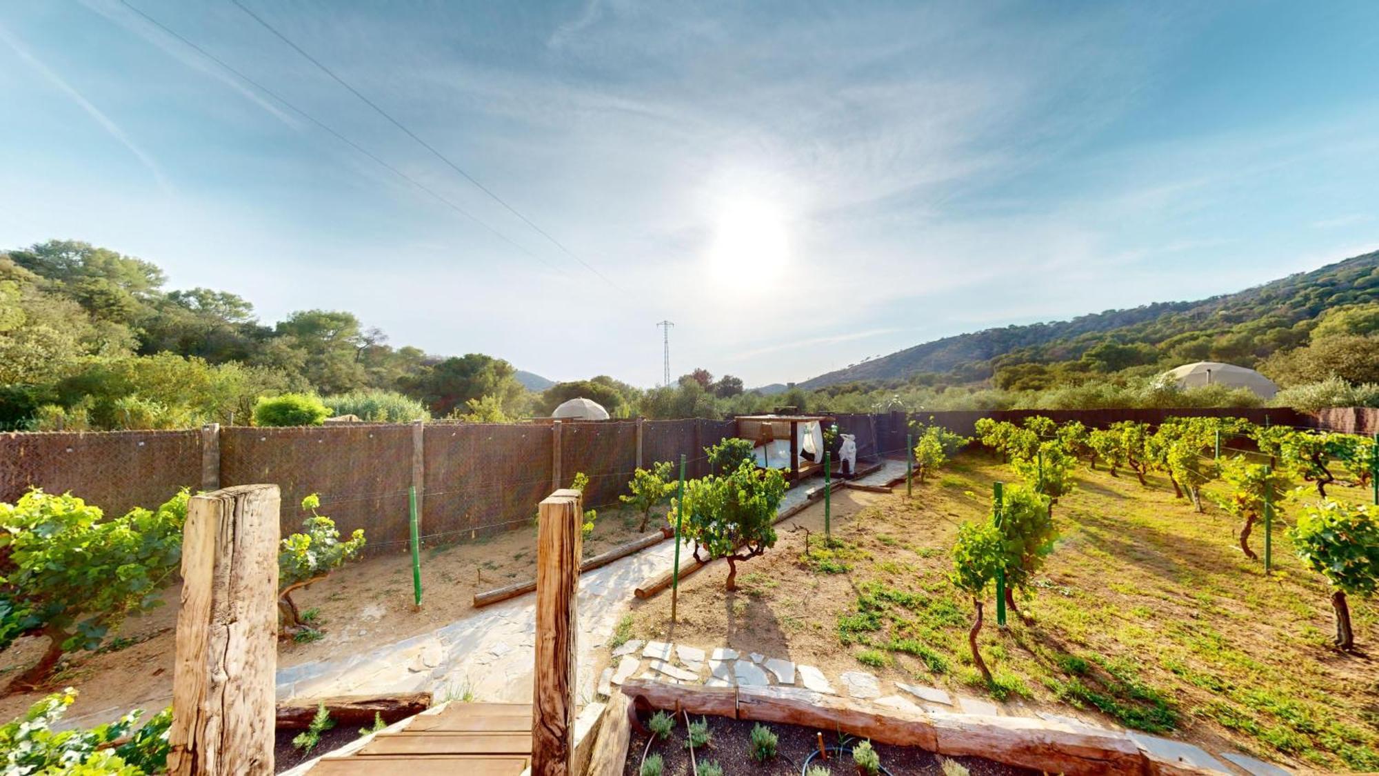 Domo Suites Masia Cal Geperut Badalona Exterior photo